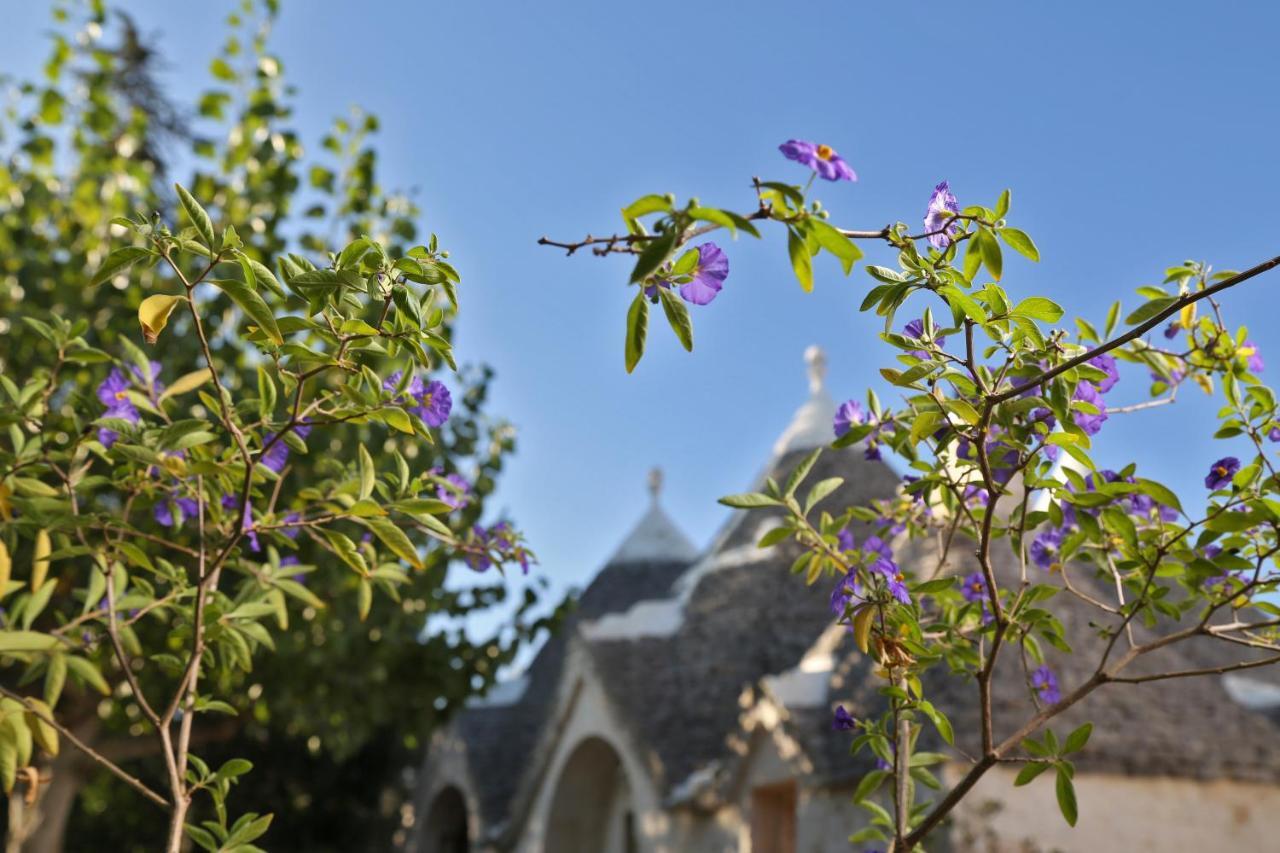Trulli And Nature Antonelli Экстерьер фото